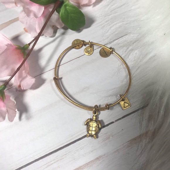Alex and Ani turtle bracelet - Picture 5 of 5